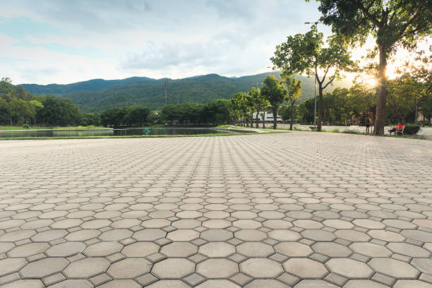 Best Concrete Paver Driveway  in Roanoke, AL