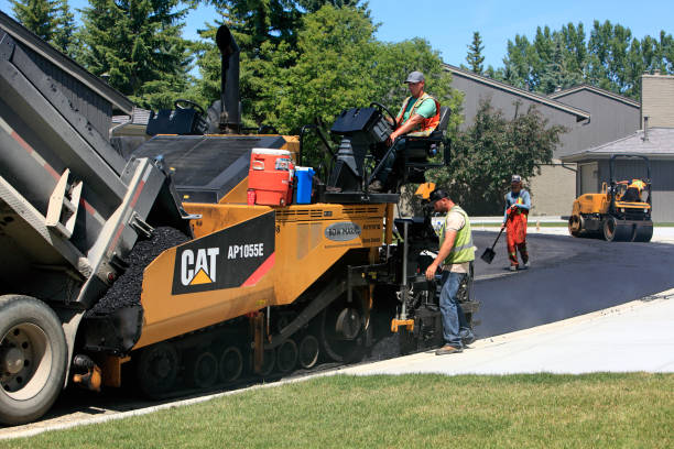 Best Driveway Pavers Contractor  in Roanoke, AL